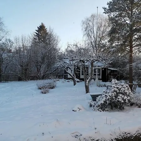 Edengard, Next To * Lohja